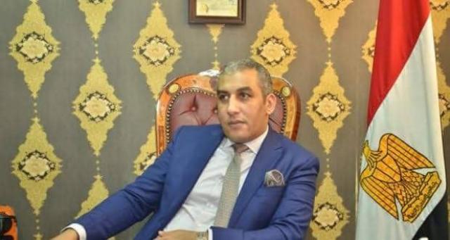 المستشار أحمد حمزة