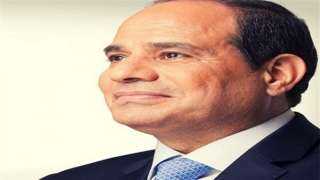السيسي: هناك محاولات مستميتة للنيل...
