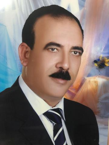 عامر فكري