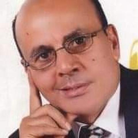 الكاتب الصحفي محمد حلمي