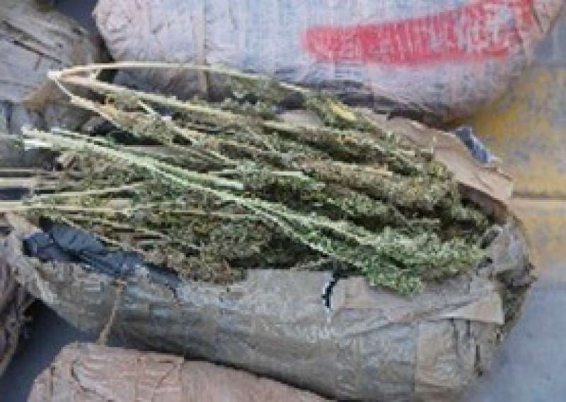 إستمراراً فى توجيه الضربات الأمنية الحاسمة لمتجرى ومروجى المواد المخدرة ..الأجهزة الأمنية تنجح فى ضبط قرابة 3 أطنان من المواد المخدرة .. تقدر قيمتها المالية بأكثر من 43 مليون جنيهاً