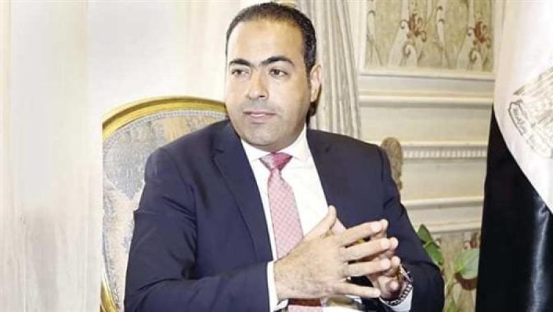 الدكتور محمود حسين، رئيس اتحاد شباب المصريين بالخارج