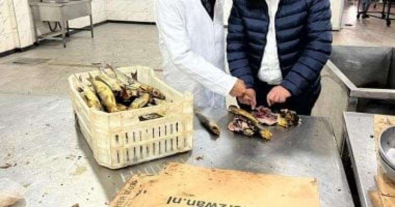 المضبوطات