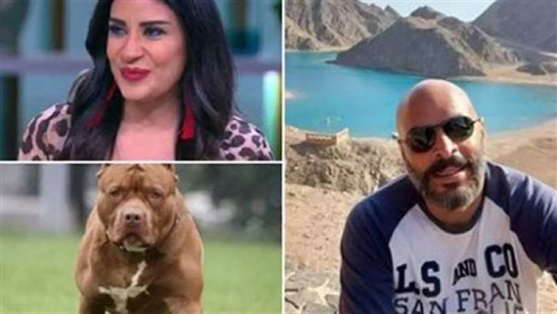 القبض على خادمة المذيعة أميرة شنب.. وعلاقتها بوفاة الضحية