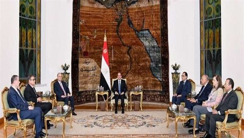 الرئيس عبد الفتاح السيسي،فيتو