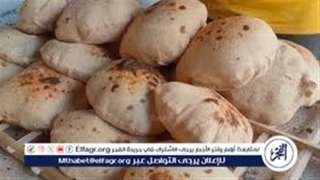 عاجل: تعرف على سعر الفينو...