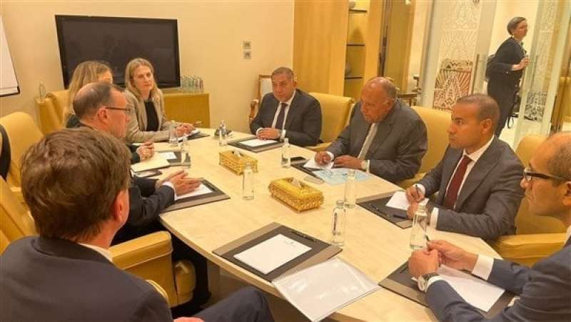 سامح شكرى وزير الخارجية