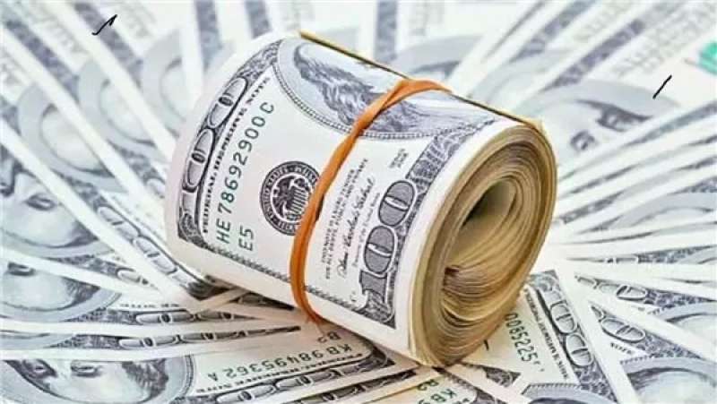 سعر الدولار اليوم