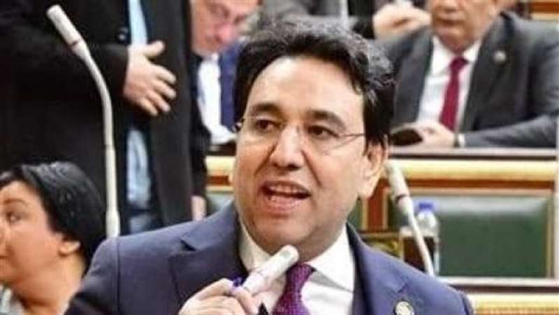 الدكتور أيمن محسب، عضو مجلس النواب