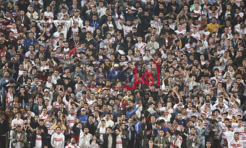 جماهير الزمالك