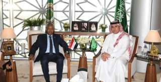 مندوب المملكة الدائم لدى الجامعة...