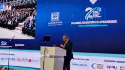 دكتور محمود محيي الدين: التمويل...