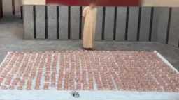 إحباط محاولة 4 عناصر جنائية...