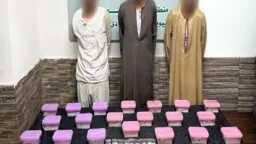 ضبط عناصر بؤر إجرامية من...