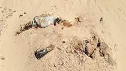 تجديد حبس المتهم بقتل صديقه...