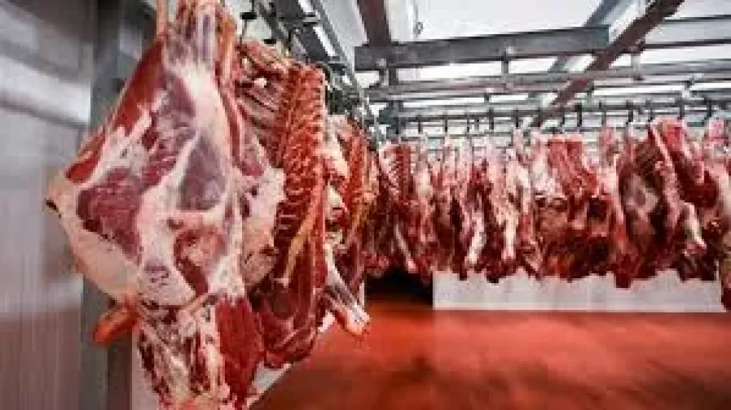 أسعار اللحوم الحمراء