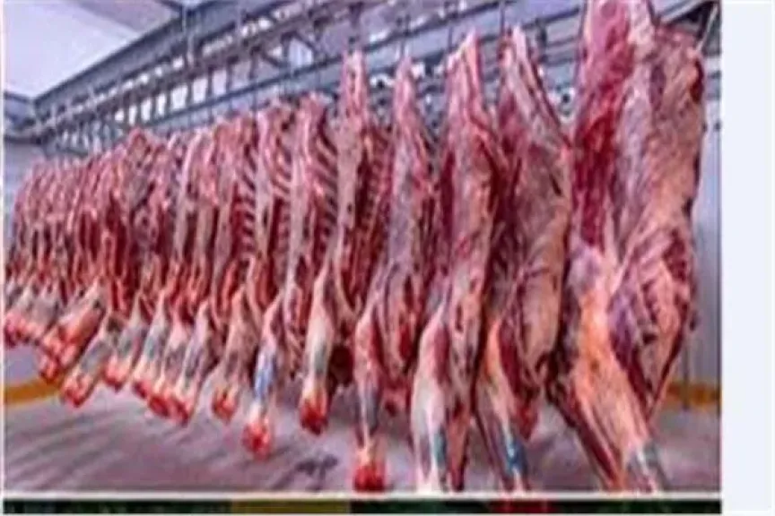 أسعار اللحوم الحمراء