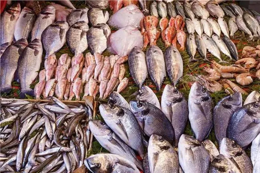 أسعار الأسماك